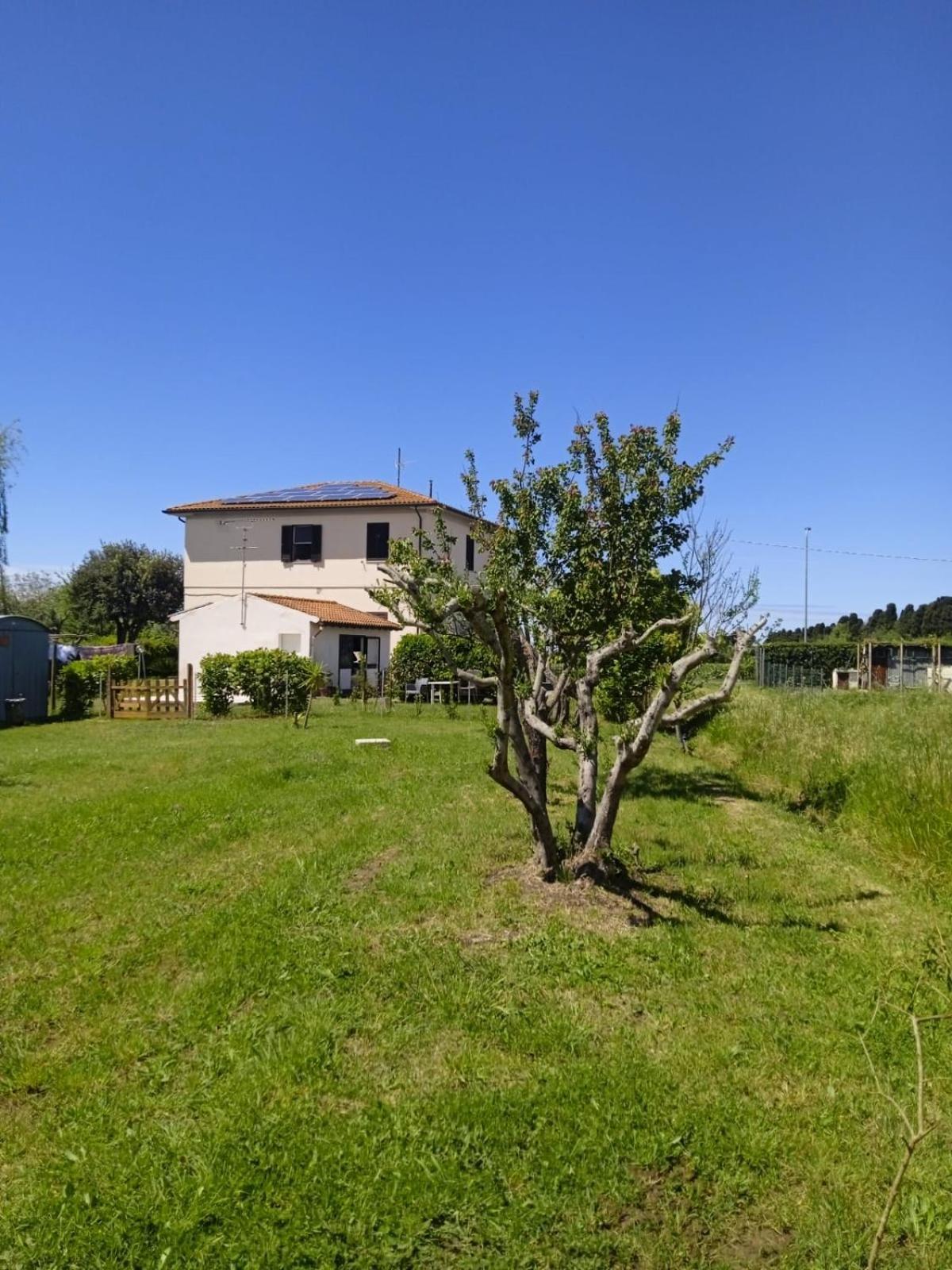 Rosignano Marittimo Rosa Bianca Apartment Bagian luar foto